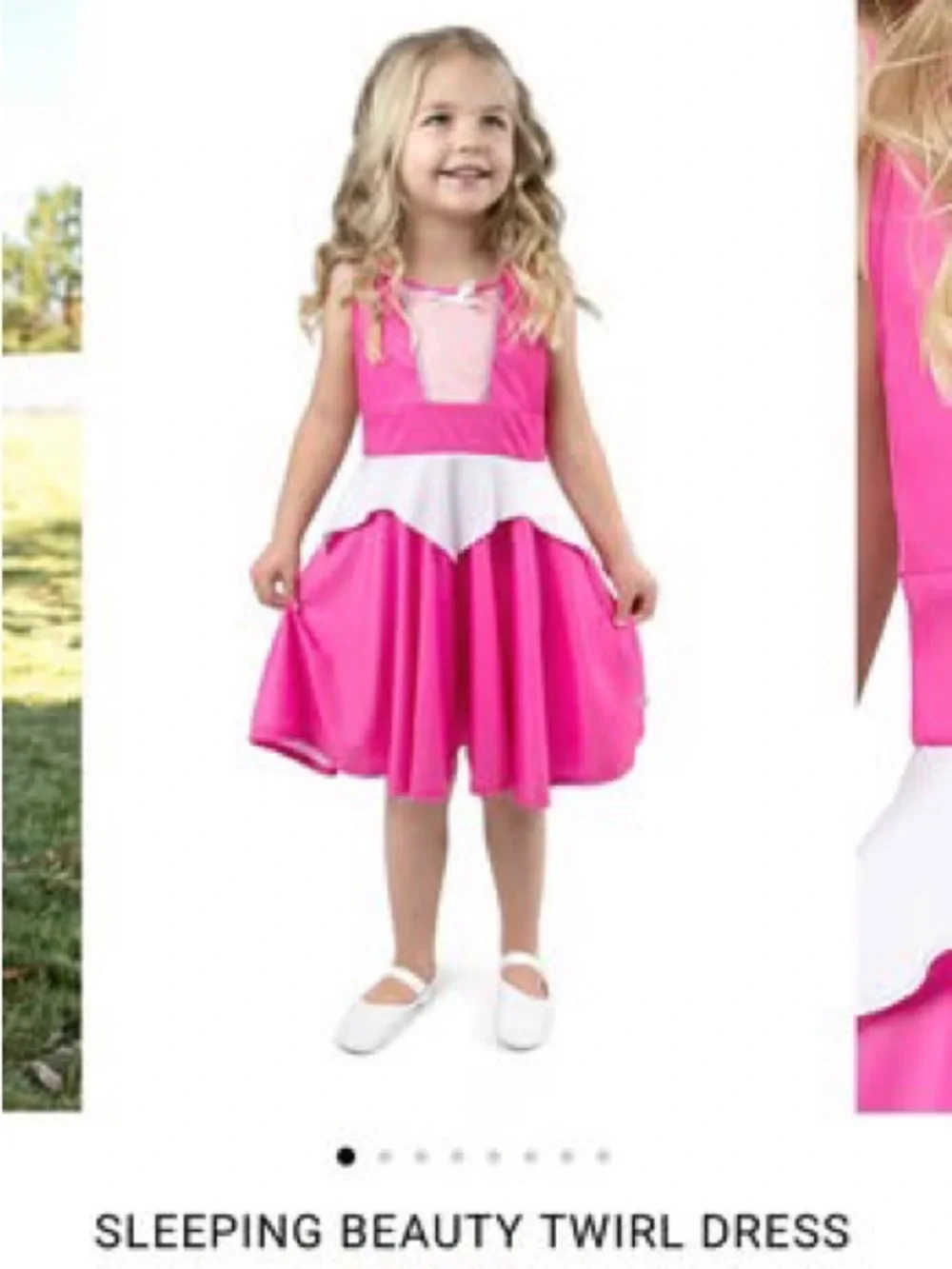 Little Adventures Sleeping Beauty Twirl Dress